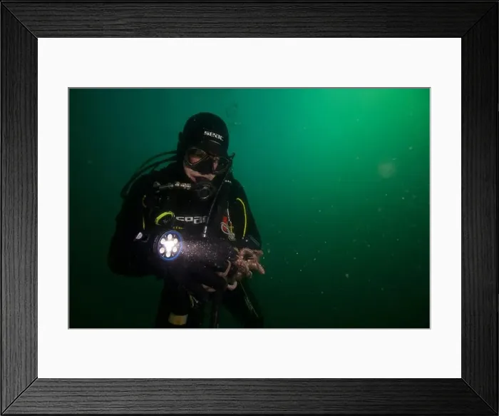 Framed Print : Scuba diver encounter with octopus Framed Print : Scuba diver encounter with octopus