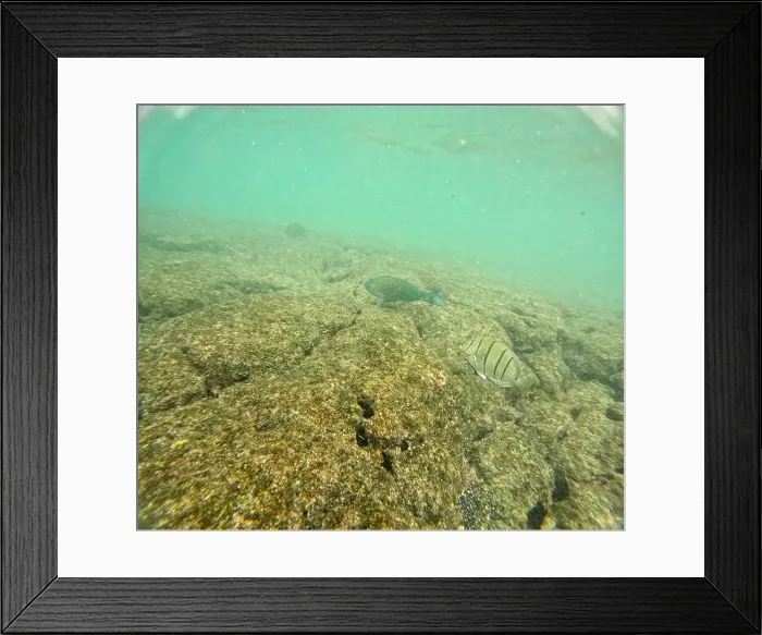 Framed Print : Shallow sea, big stones with fish Framed Print : Shallow sea, big stones with fish