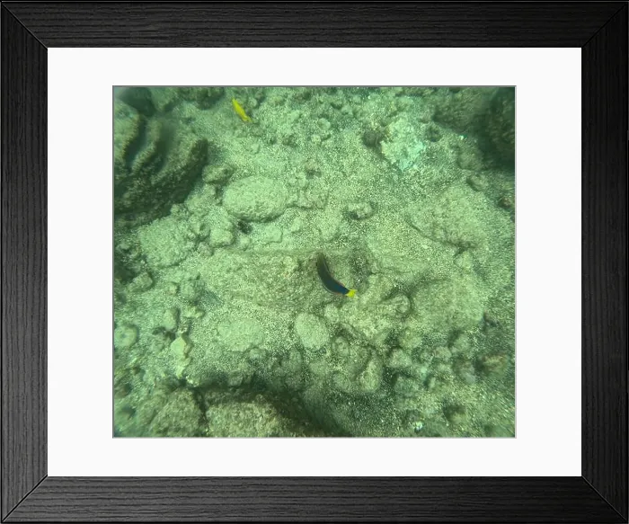Framed Print : Shallow sea, big stones with fish Framed Print : Shallow sea, big stones with fish