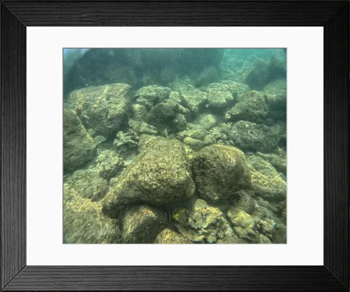 Framed Print : Under water at Poipu beach in Kauai, Hawaii, USA Framed Print : Under water at Poipu beach in Kauai, Hawaii, USA