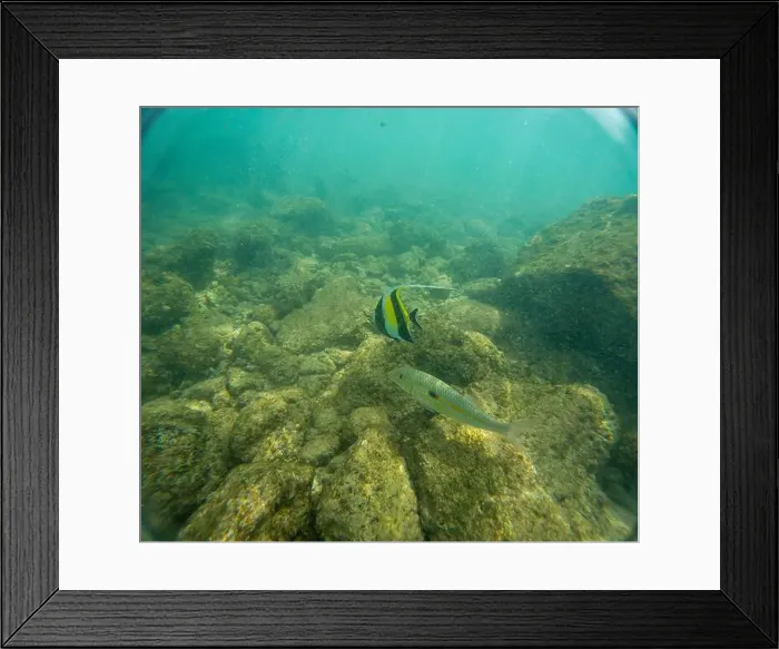 Framed Print : Under water at Poipu beach in Kauai, Hawaii, USA Framed Print : Under water at Poipu beach in Kauai, Hawaii, USA