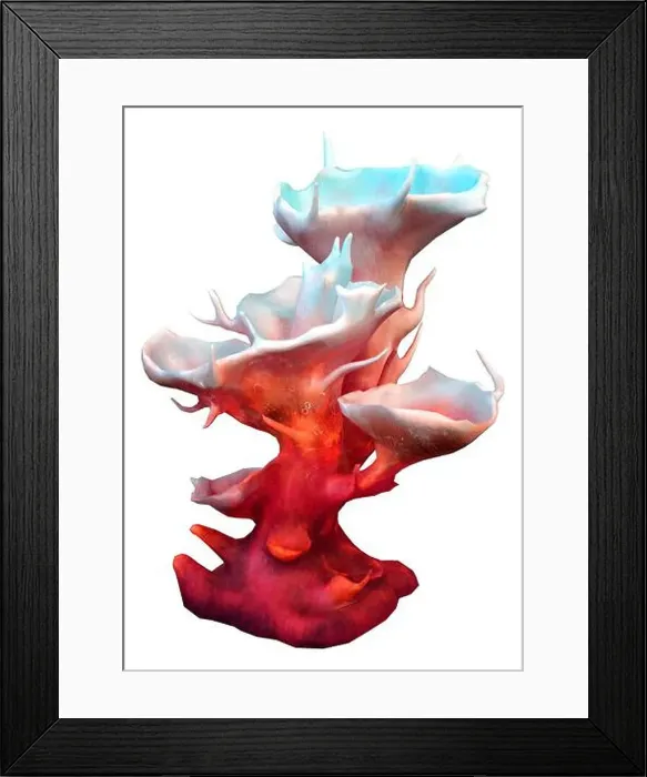 Framed Print : 3D rendering of a red clathrata coral isolated on white background Framed Print : 3D rendering of a red clathrata coral isolated on white background