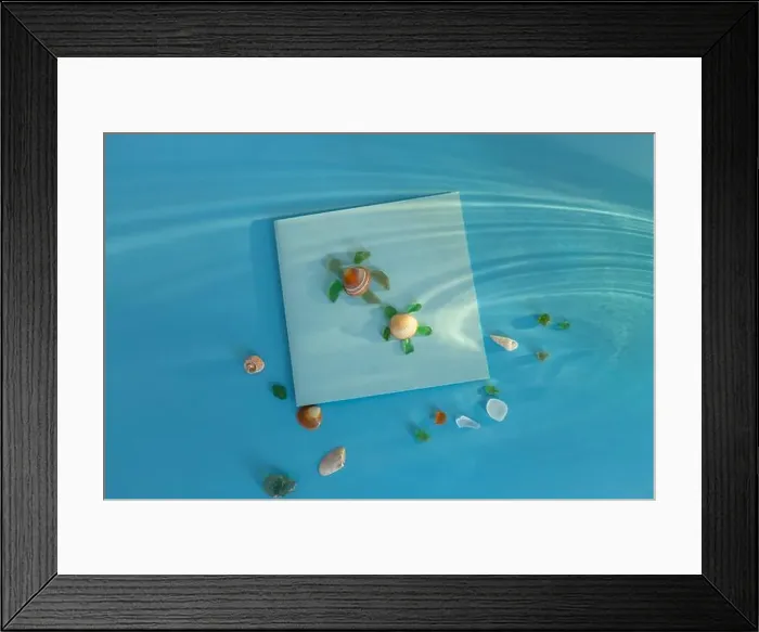 Framed Print : Artistic turtle formed with one shell in center Framed Print : Artistic turtle formed with one shell in center