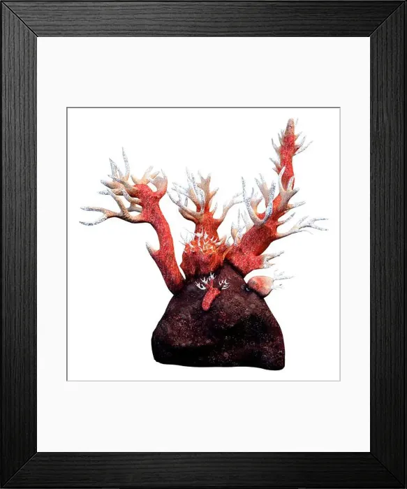 Framed Print : 3D rendering of a red octocorallia coral isolated on white background Framed Print : 3D rendering of a red octocorallia coral isolated on white background