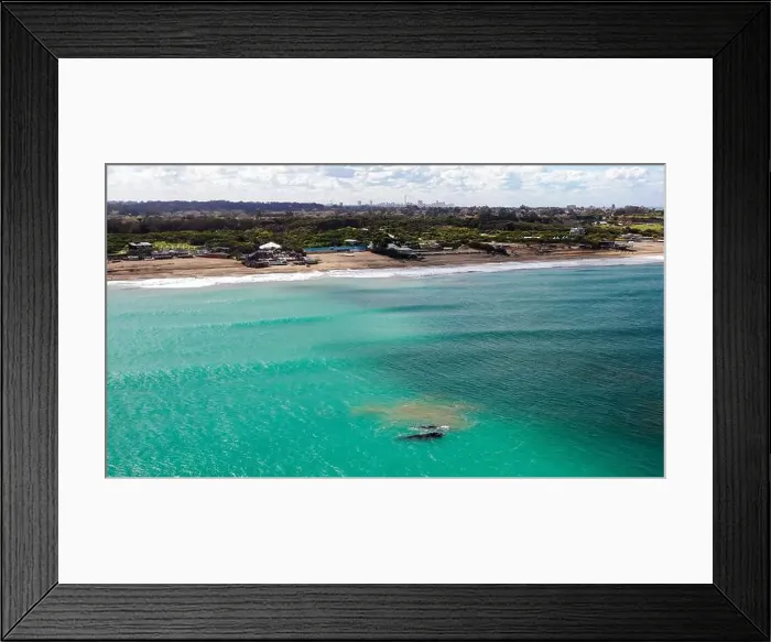Framed Print : Groups of whales on the beaches of Mar del Plata, Argentina Framed Print : Groups of whales on the beaches of Mar del Plata, Argentina