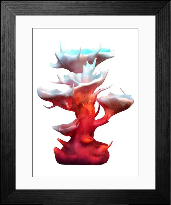 Framed Print : 3D rendering of a red clathrata coral isolated on white background Framed Print : 3D rendering of a red clathrata coral isolated on white background