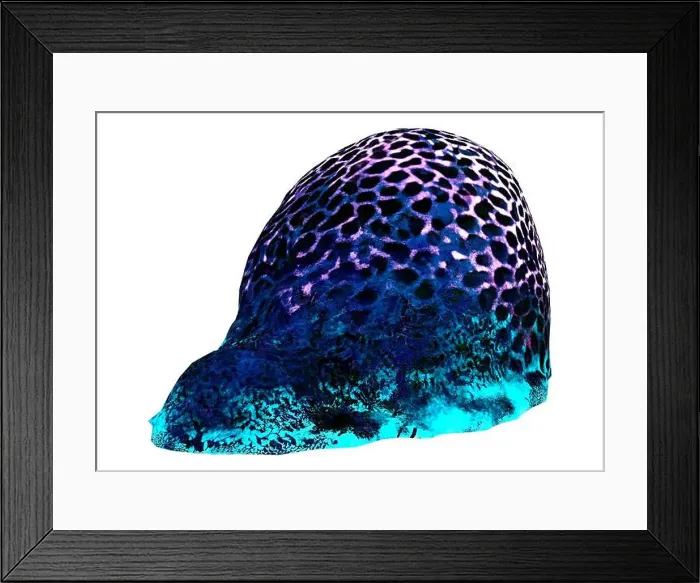 Framed Print : 3D rendering of a brain coral isolated on white background Framed Print : 3D rendering of a brain coral isolated on white background