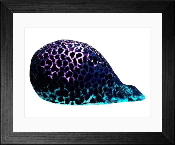 Framed Print : 3D rendering of a brain coral isolated on white background Framed Print : 3D rendering of a brain coral isolated on white background
