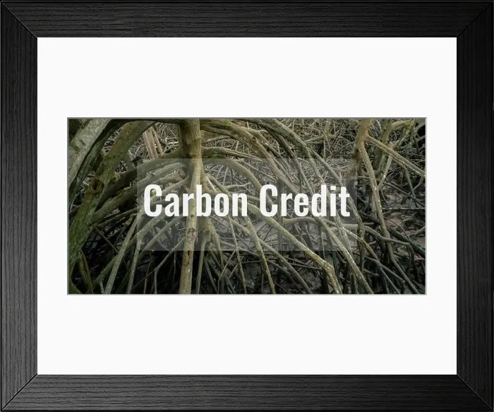 Framed Print : Carbon credit concept. Mangrove forests as natural carbon sinks Framed Print : Carbon credit concept. Mangrove forests as natural carbon sinks