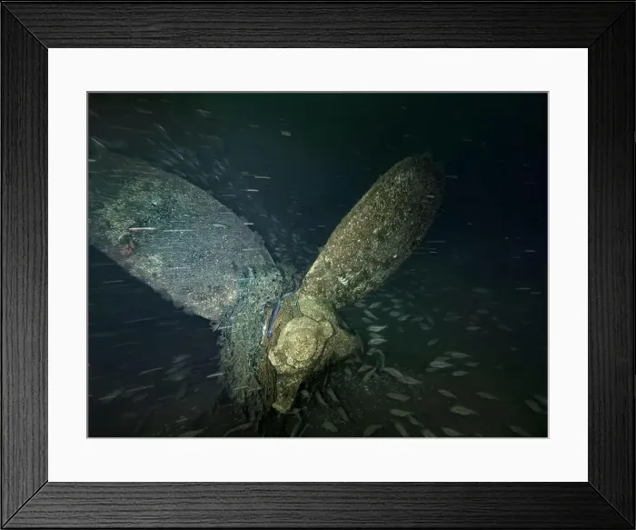 Framed Print : Underwater photography of a shipwreck propeller Framed Print : Underwater photography of a shipwreck propeller