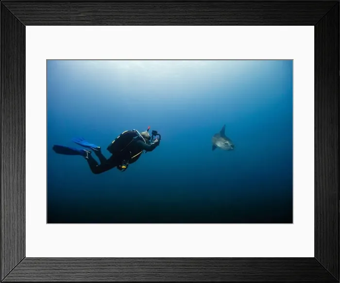 Framed Print : Underwater image of a male diver Framed Print : Underwater image of a male diver