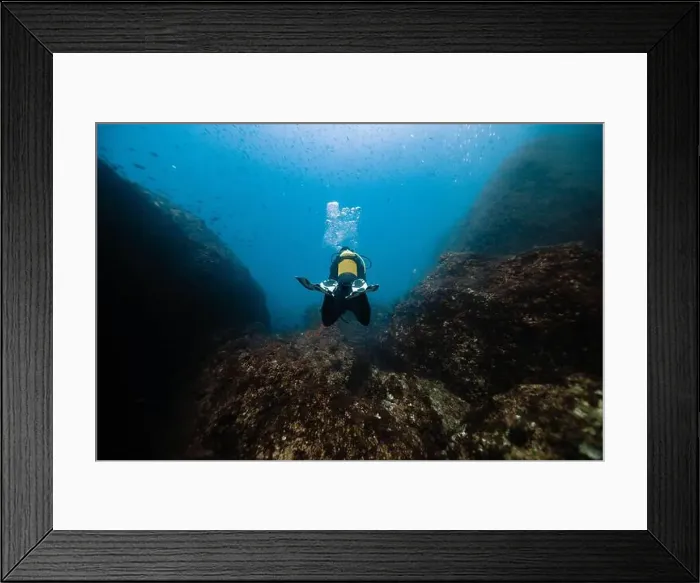 Framed Print : Back view of unrecognizable scuba diver Framed Print : Back view of unrecognizable scuba diver