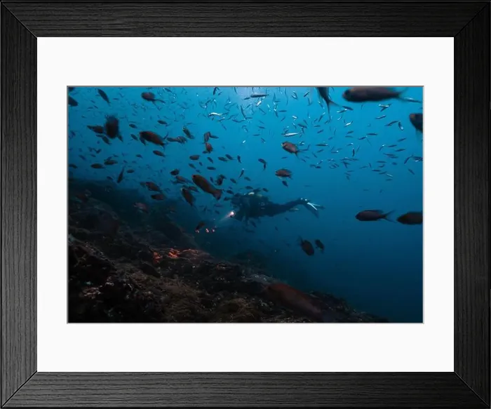 Framed Print : An unrecognizable scuba diver, illuminated by a flashlight Framed Print : An unrecognizable scuba diver, illuminated by a flashlight