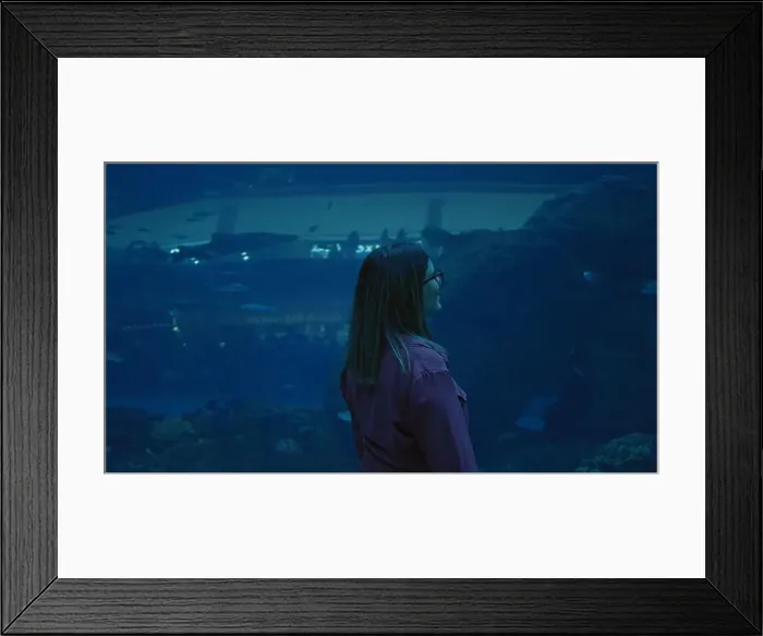 Framed Print : A young adult woman observes marine life at an underwater aquarium in dubai, showcasing tourism and adventure Framed Print : A young adult woman observes marine life at an underwater aquarium in dubai, showcasing tourism and adventure