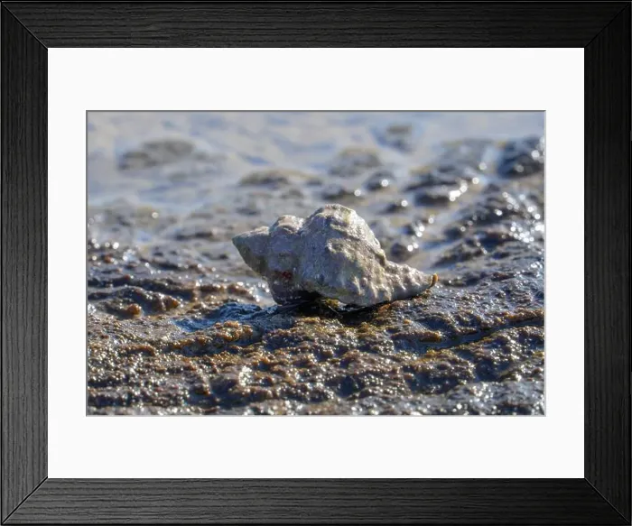 Framed Print : A hermit's house by the beach Framed Print : A hermit's house by the beach