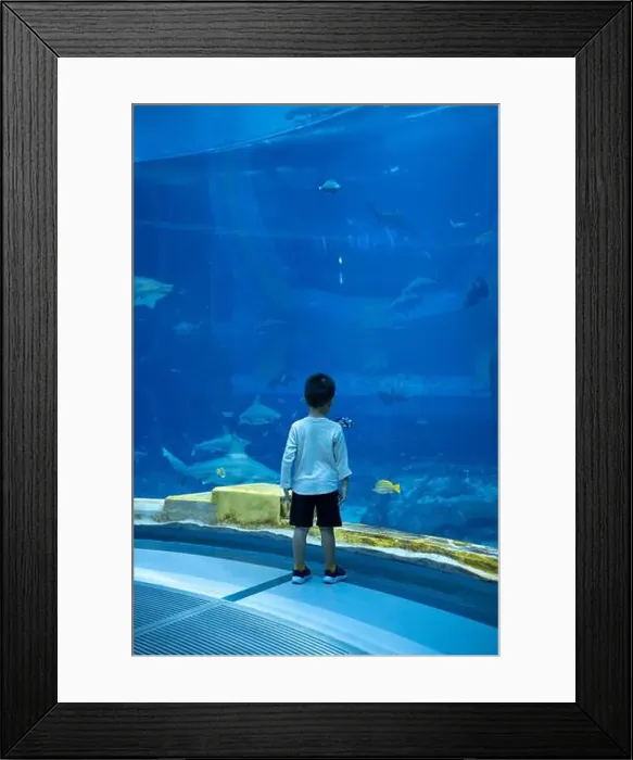 Framed Print : A 3 year old boy stands in awe Framed Print : A 3 year old boy stands in awe