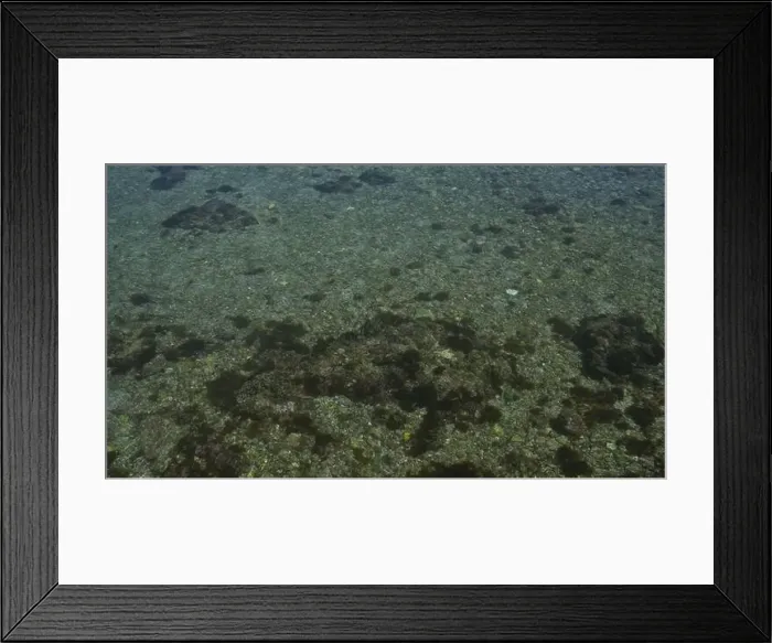 Framed Print : Clear shallow waters with rocky seabed illuminated by sunlight in porto cesareo Framed Print : Clear shallow waters with rocky seabed illuminated by sunlight in porto cesareo