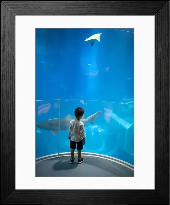 Framed Print : A 3 year old boy stands in awe Framed Print : A 3 year old boy stands in awe