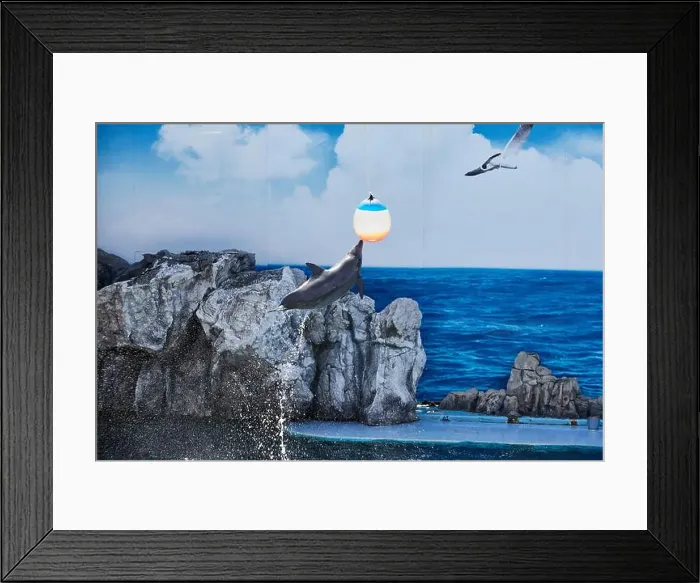 Framed Print : Dolphin jumping and playing ball Framed Print : Dolphin jumping and playing ball