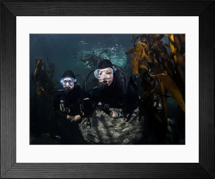 Framed Print : Two female scuba divers underwater swimming together in the kelp forest Framed Print : Two female scuba divers underwater swimming together in the kelp forest