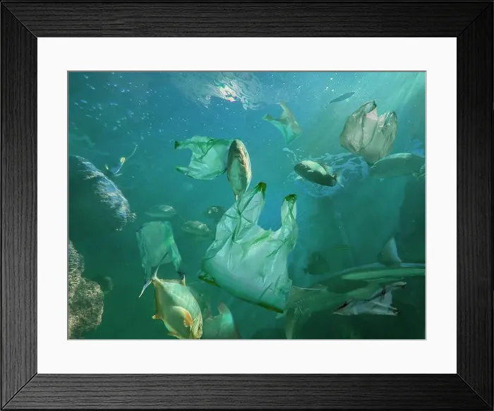 Framed Print : Fishes swimming among plastic garbage in sea. Environmental pollution Framed Print : Fishes swimming among plastic garbage in sea. Environmental pollution
