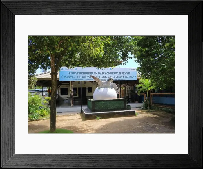 Framed Print : Denpasar, Bali in Indonesia - February 09 2024: Sea Turtle Conservation and Education Center Serangan Framed Print : Denpasar, Bali in Indonesia - February 09 2024: Sea Turtle Conservation and Education Center Serangan