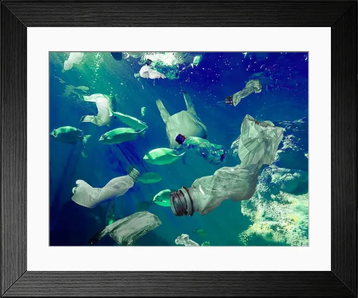 Framed Print : Fish swimming among plastic garbage in sea. Environmental pollution Framed Print : Fish swimming among plastic garbage in sea. Environmental pollution