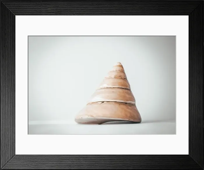 Framed Print : Large cone-shaped pearl shell on a blue background, copy space Framed Print : Large cone-shaped pearl shell on a blue background, copy space