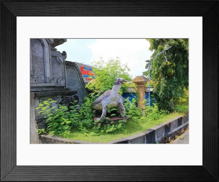 Framed Print : Denpasar, Bali in Indonesia - February 09 2024: Sea Turtle Conservation and Education Center Serangan Framed Print : Denpasar, Bali in Indonesia - February 09 2024: Sea Turtle Conservation and Education Center Serangan