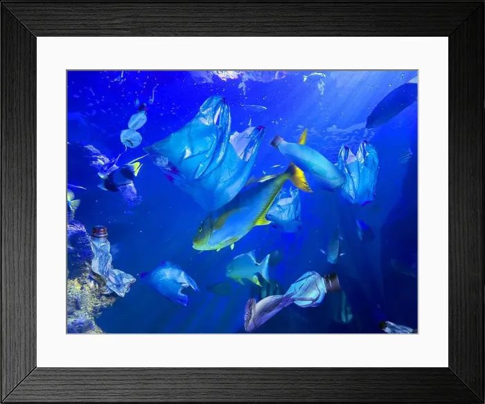 Framed Print : Fishes swimming among plastic garbage in sea. Environmental pollution Framed Print : Fishes swimming among plastic garbage in sea. Environmental pollution