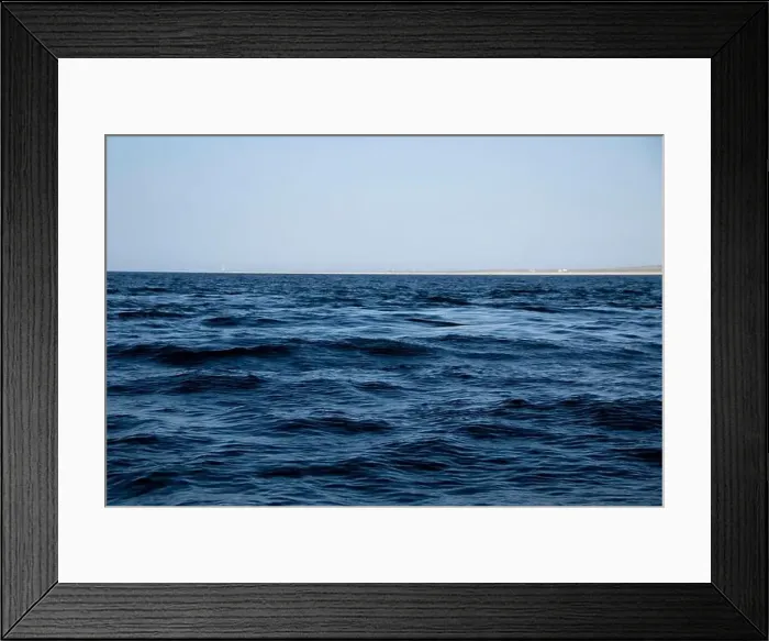 Framed Print : A vortex caused by a school of Munk's Devil Rays aka Mobula Rays (Mobula munkiana) Framed Print : A vortex caused by a school of Munk's Devil Rays aka Mobula Rays (Mobula munkiana)