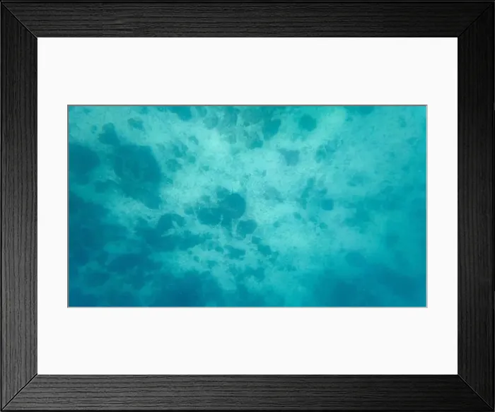 Framed Print : Photography of fish and corals in Oman near Muscat during spring sunny day Framed Print : Photography of fish and corals in Oman near Muscat during spring sunny day