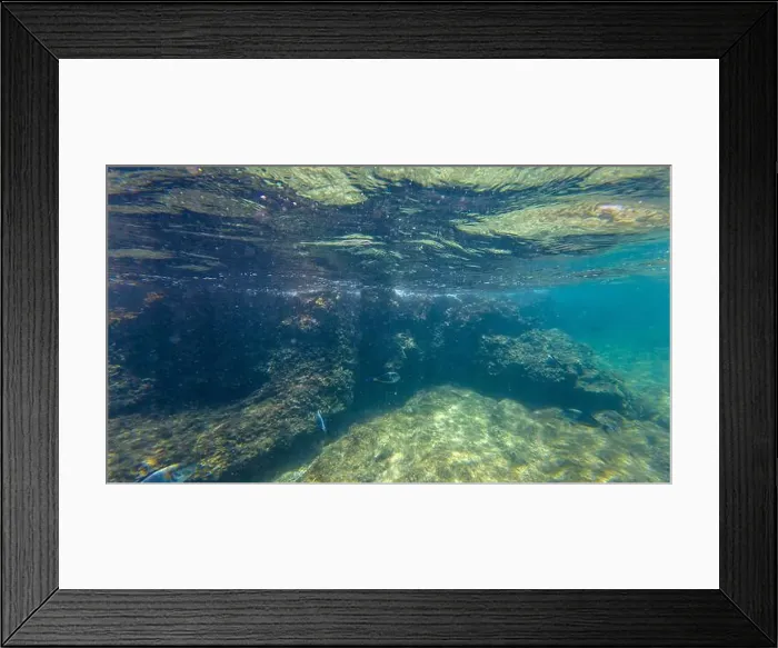 Framed Print : Photography of fish and corals in Oman near Muscat during spring sunny day Framed Print : Photography of fish and corals in Oman near Muscat during spring sunny day