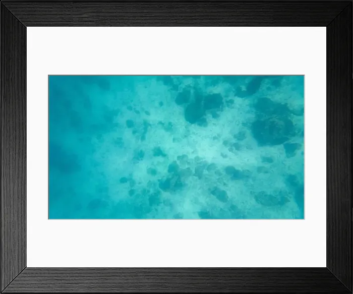 Framed Print : Photography of fish and corals in Oman near Muscat during spring sunny day Framed Print : Photography of fish and corals in Oman near Muscat during spring sunny day