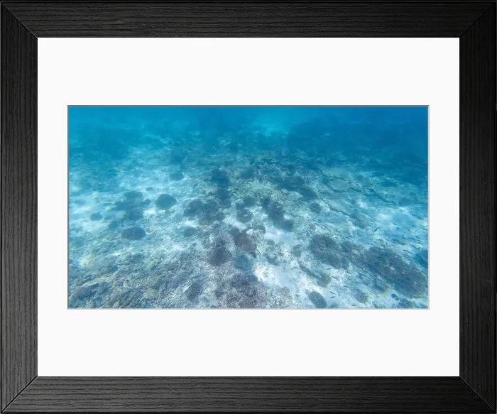 Framed Print : default Framed Print : default