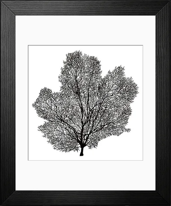 Framed Print : 3D rendering of a fan coral, a marine invertebrate isolated on white background Framed Print : 3D rendering of a fan coral, a marine invertebrate isolated on white background