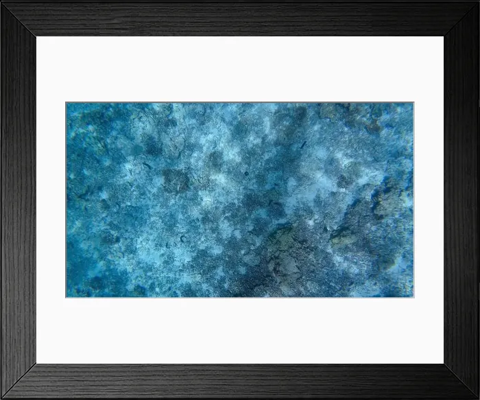 Framed Print : Photography of fish and corals in Oman near Muscat during spring sunny day Framed Print : Photography of fish and corals in Oman near Muscat during spring sunny day