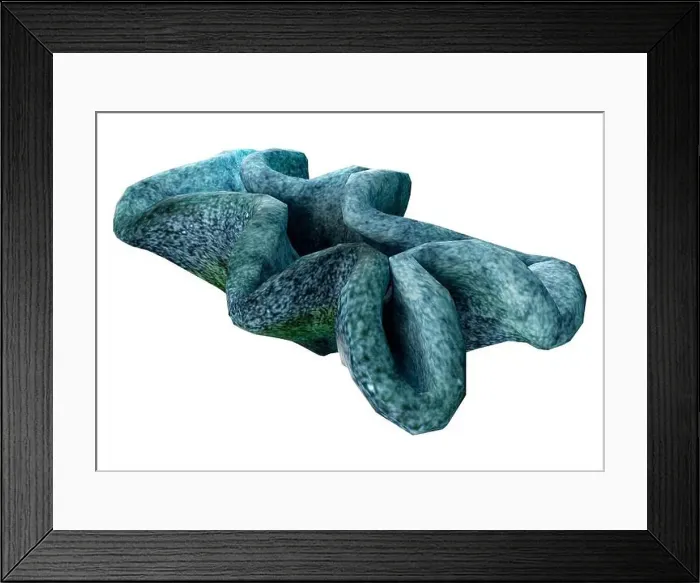 Framed Print : 3D rendering of a coral, a marine invertebrate isolated on white background Framed Print : 3D rendering of a coral, a marine invertebrate isolated on white background