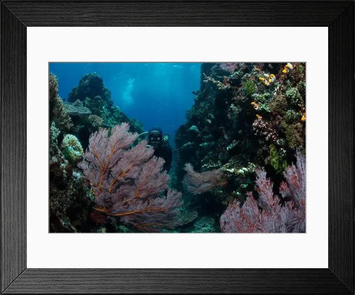 Framed Print : Reefscape - Bangka Island