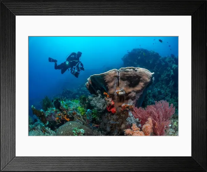 Framed Print : Reefscape - Bangka Island