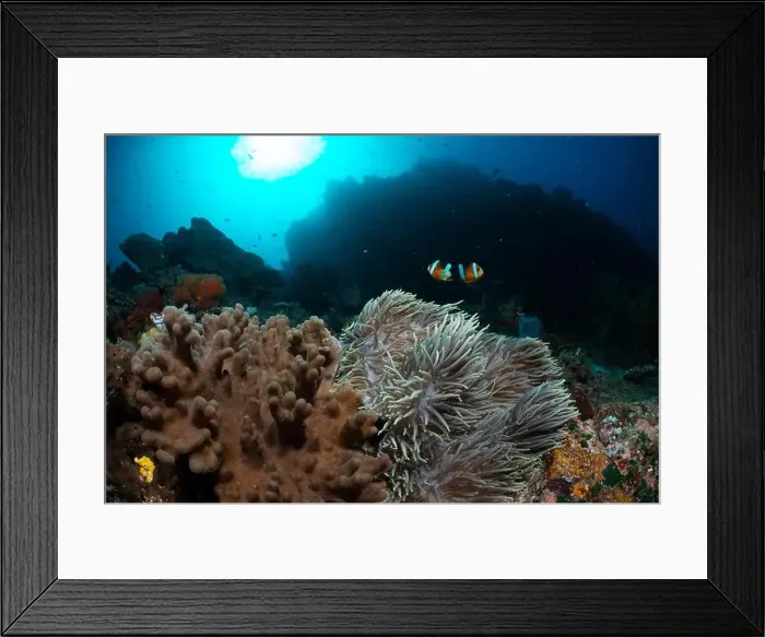 Framed Print : Reefscape - Bangka Island Framed Print : Reefscape - Bangka Island