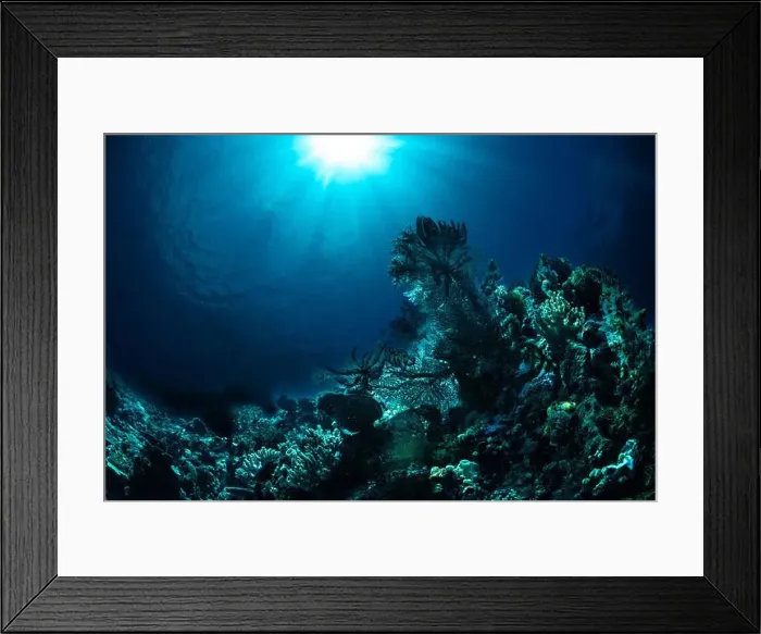 Framed Print : Reefscape - Bangka Island Framed Print : Reefscape - Bangka Island