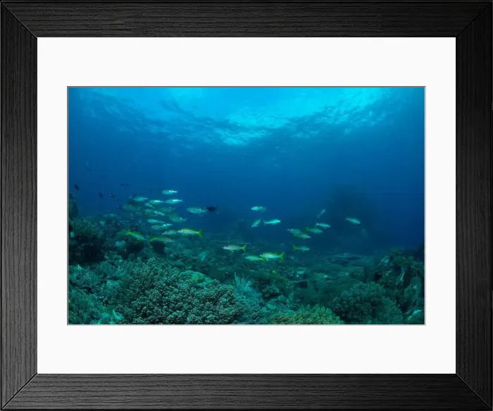 Framed Print : Reefscape - Bangka Island Framed Print : Reefscape - Bangka Island