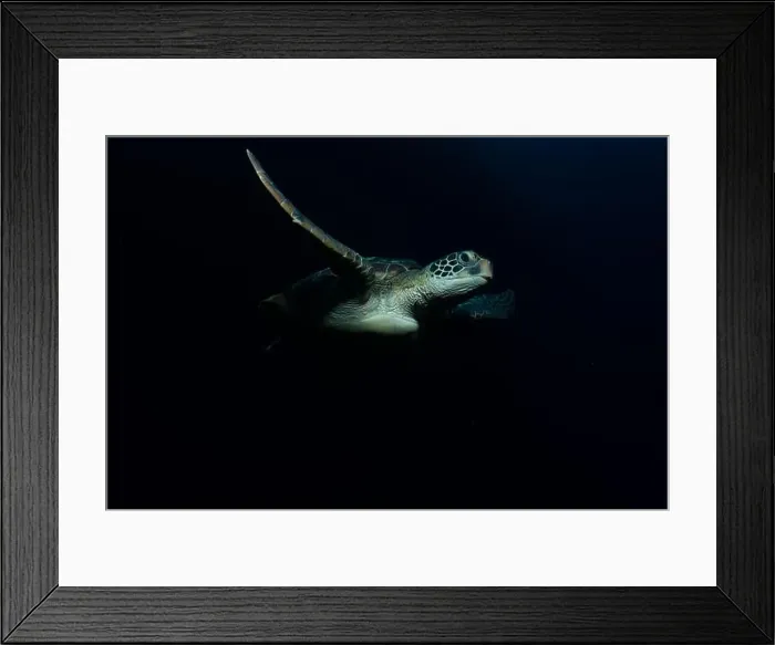Framed Print : Bunaken Island - Reefscapes Framed Print : Bunaken Island - Reefscapes