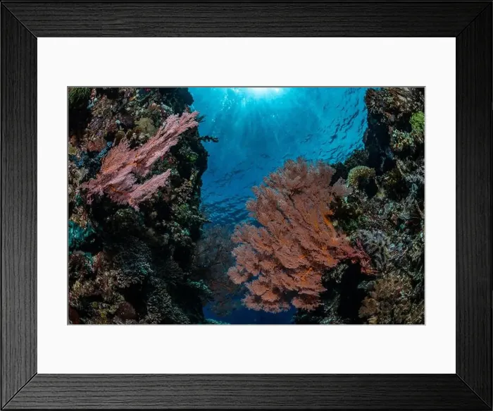 Framed Print : Reefscape - Bangka Island Framed Print : Reefscape - Bangka Island