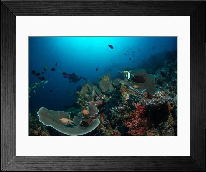 Framed Print : Reefscape - Bangka Island Framed Print : Reefscape - Bangka Island