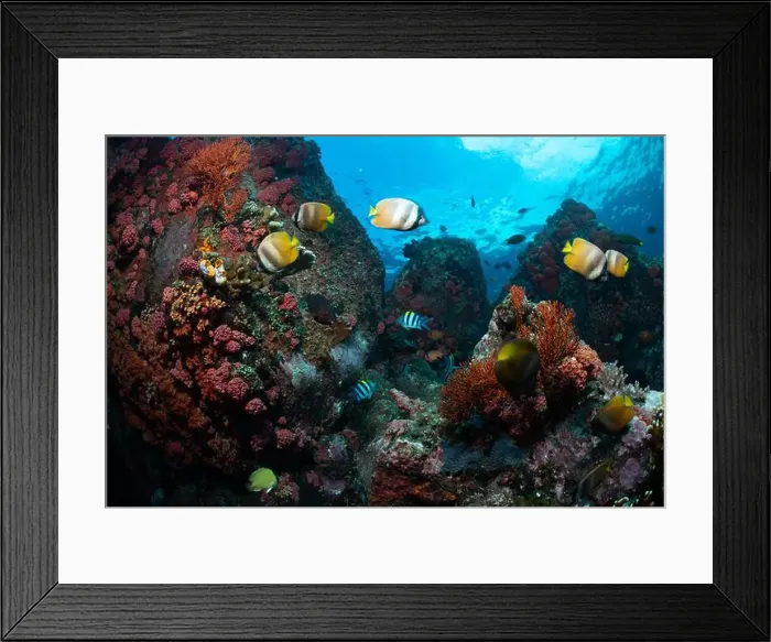 Framed Print : Reefscape - Bangka Island Framed Print : Reefscape - Bangka Island