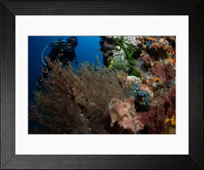 Framed Print : Reefscape - Bangka Island Framed Print : Reefscape - Bangka Island