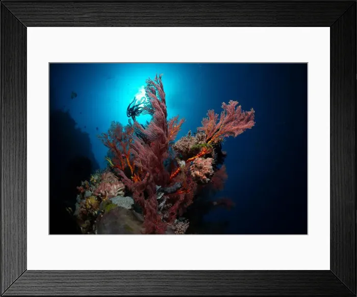 Framed Print : Reefscape - Bangka Island Framed Print : Reefscape - Bangka Island