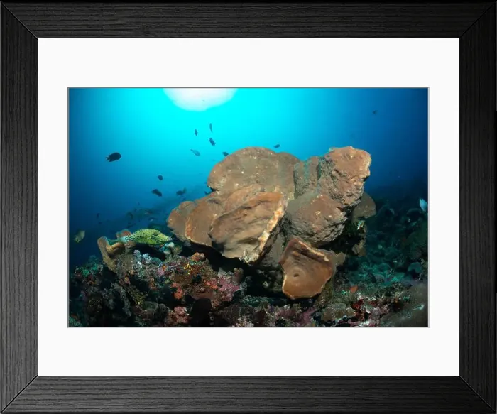 Framed Print : Reefscape - Bangka Island Framed Print : Reefscape - Bangka Island